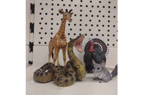 Wieczorna jägeneracja